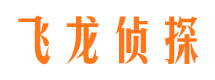 海原市调查公司